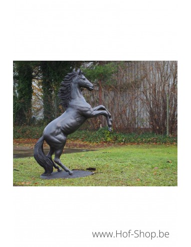 Cheval d'élevage - sculpture en bronze (B910)