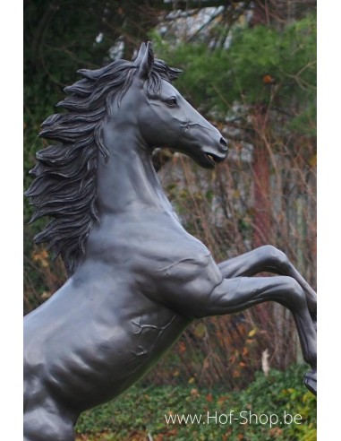Steigerend paard - bronzen beeld (B910)