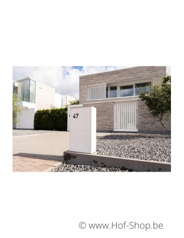 Dropbox Medium Back Door RAL 9016 - eSafe pakketbus aluminium