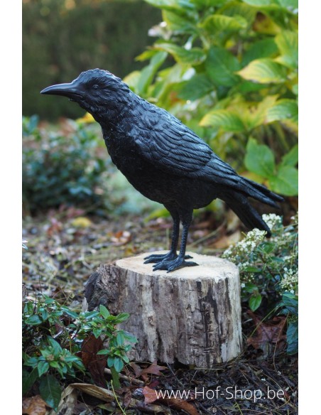 Mâle corbeau - statue en bronze (B50325)