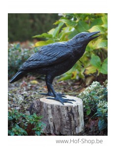 Raaf vrouwelijk - bronzen beeld (B50420)