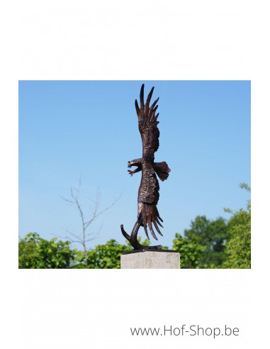 Vliegende arend - bronzen beeld (B56606)