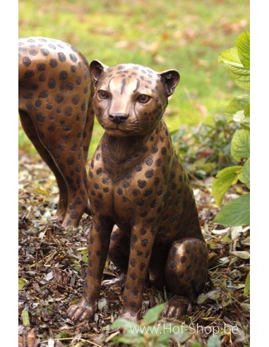 Zittende Cheetah - bronzen beeld (B1138)