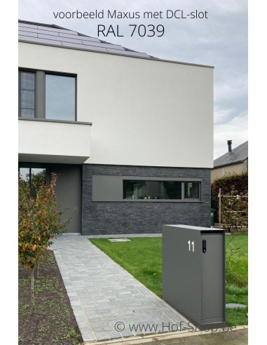 Maxus Single RAL 7039 mét pakketdeur - eSafe pakketbus aluminium