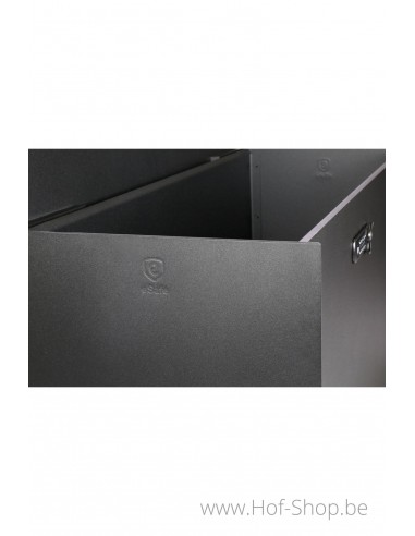 Bulkbox - XXL pakketbus aluminium eSafe