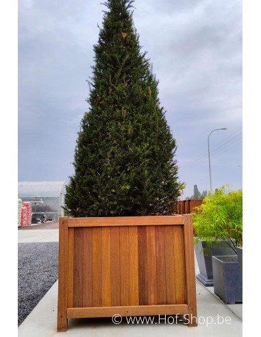 Valencia 120 x 120 x 95 cm - Plantenbak in hardhout