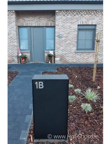Dropbox Medium Back Door RAL 9005 - eSafe pakketbus aluminium