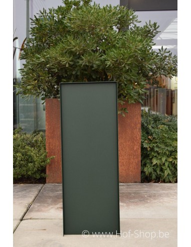 Dropbox Small RAL 6009 Limited Edition - eSafe pakketbus aluminium