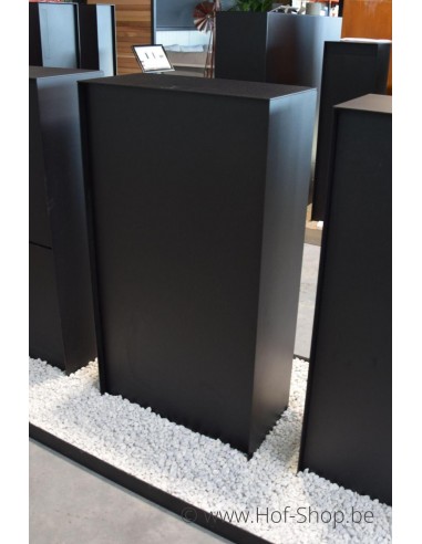 Dropbox Medium Back Door RAL 9005 - eSafe pakketbus aluminium