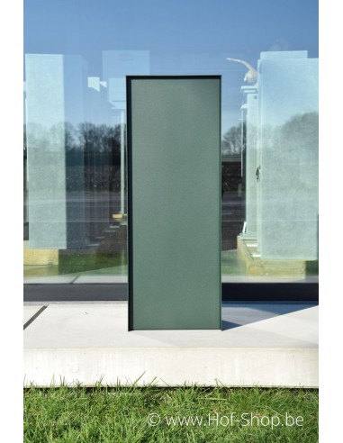 Dropbox Small RAL 6009 - eSafe pakketbus aluminium