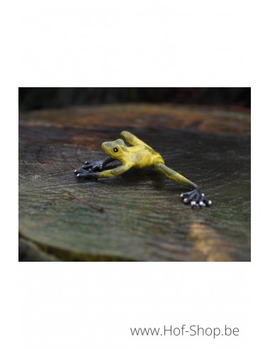 Groene Kikker - bronzen beeld (AN0576BR-HP)