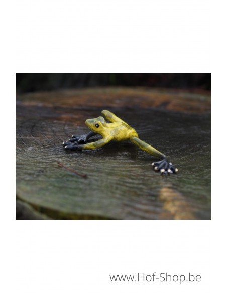 Grenouille verte - statue en bronze (AN0576BR-HP)