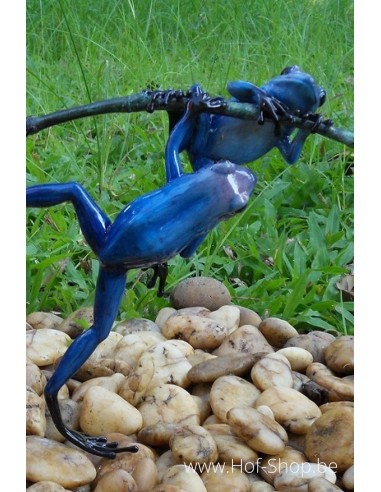 2 Gekleurde kikkers aan twijg (blauw) - bronzen beeld (AN0980BR-C)