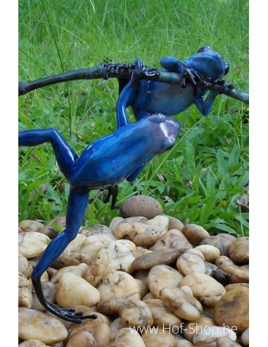 2 grenouilles colorées sur une brindille - statue en bronze (AN0980BR-C)