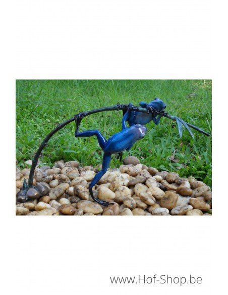2 grenouilles colorées sur une brindille - statue en bronze (AN0980BR-C)