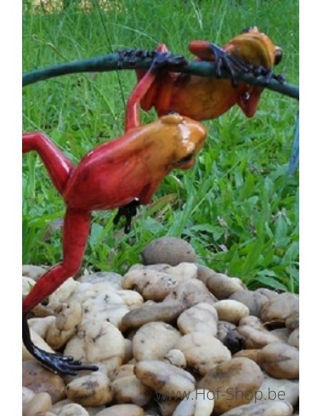 2 Gekleurde kikkers aan twijg (rood) - bronzen beeld (AN0982BR-C)