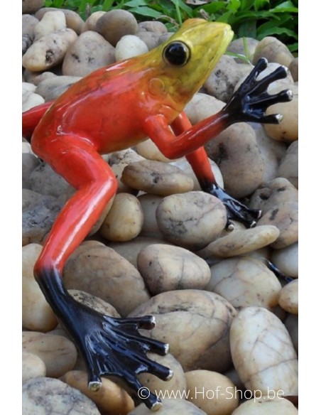 Regenwoud kikker (rood) - bronzen beeld (AN0984BR-C)