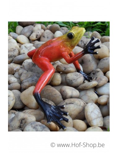 Regenwoud kikker (rood) - bronzen beeld (AN0984BR-C)