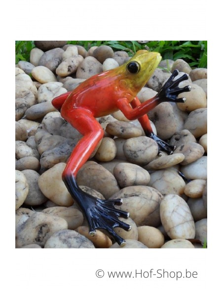 Regenwoud kikker (rood) - bronzen beeld (AN0984BR-C)