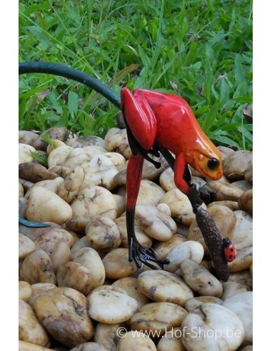 Gekleurde kikker aan twijg (rood) - bronzen beeld (AN0989BR-C)