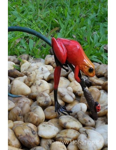 Grenouille colorée sur une brindille (rouge) - statue en bronze (AN0989BR-C)