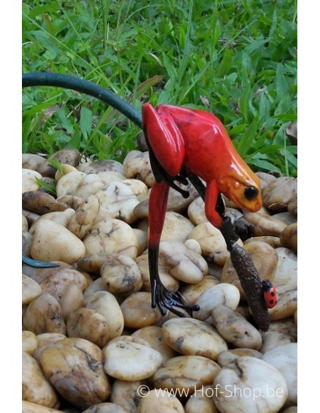 Grenouille colorée sur une brindille (rouge) - statue en bronze (AN0989BR-C)