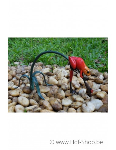 Gekleurde kikker aan twijg (rood) - bronzen beeld (AN0989BR-C)