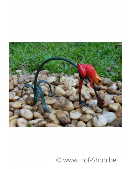 Gekleurde kikker aan twijg (rood) - bronzen beeld (AN0989BR-C)