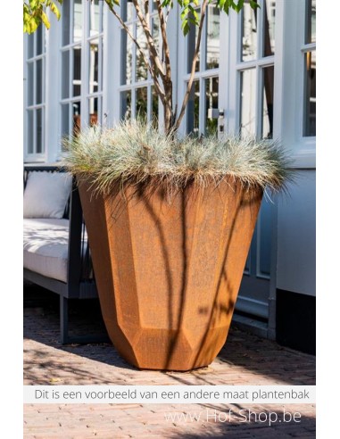 Facet 100 x 60 cm - Jardinière en acier Corten