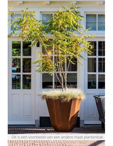Facet 60 x 120 cm - Jardinière en acier Corten