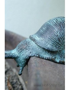 Petit Escargot - statue en bronze (AN1086BR-V)