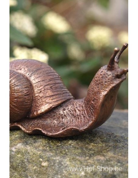 Petit Escargot - statue en bronze (AN1127BR-B)