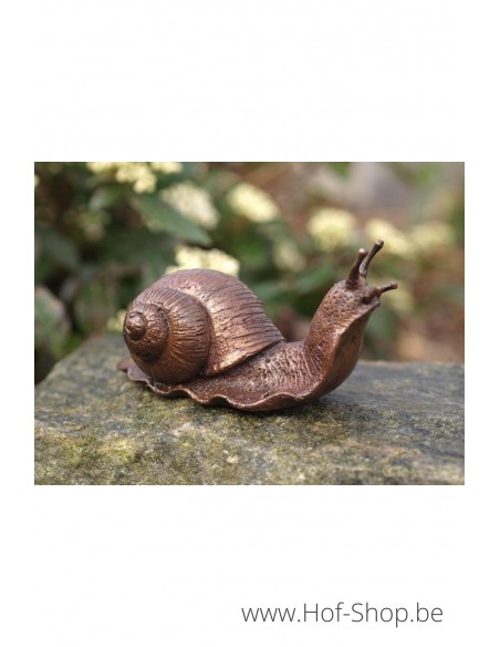 Petit Escargot - statue en bronze (AN1127BR-B)
