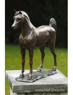Cheval Arabe - sculpture en bronze (AN1135BR-B)
