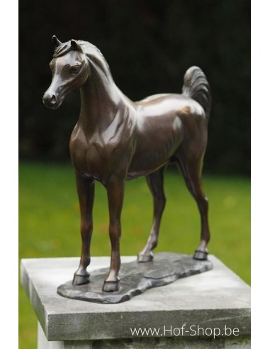 Arabisch paard - bronzen beeld (AN1135BR-B)