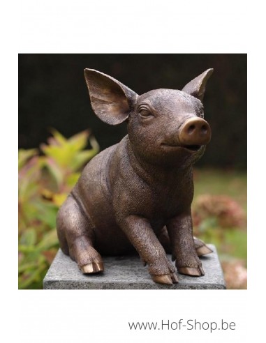 Zittend varken - bronzen beeld (AN1136BR-B)