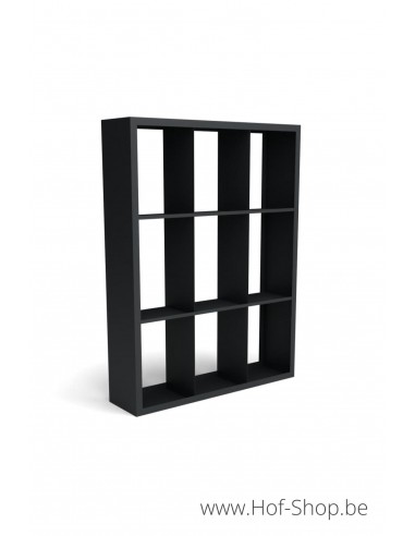 Beltza Dividi 150 x 38,5 x 200 cm - Houtopslag Geroba zwart (BELTZADS63)