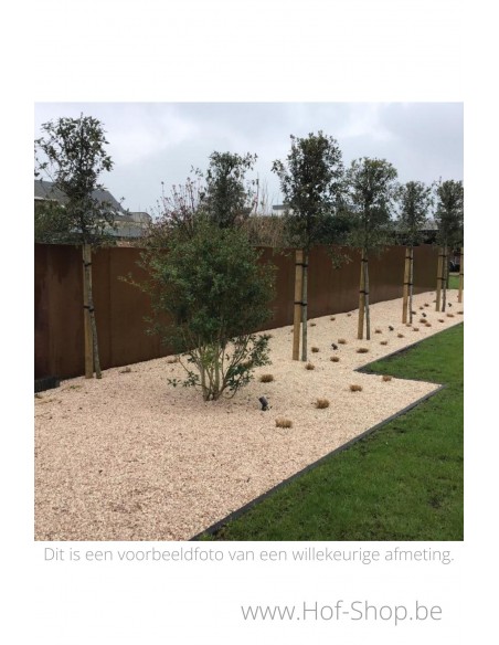 Gerofence panneau complet 50 x 5 x 200 cm - Clôtures en acier Corten Geroba