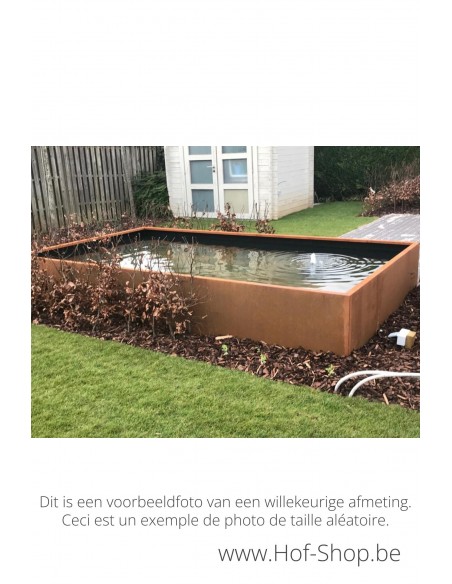 Estani Artesa 300 x 200 x 60 cm - Vijver Geroba cortenstaal