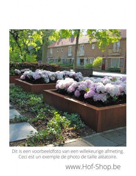 Carrez sans fond 140 x 140 x 80 cm - Jardinière Adezz en acier Corten