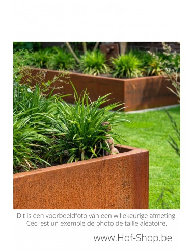 Carrez sans fond 140 x 140 x 80 cm - Jardinière Adezz en acier Corten