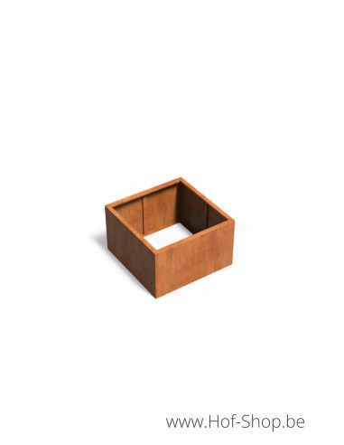 Carrez zonder bodem 100 x 100 x 60 cm - Adezz Plantenbak in cortenstaal