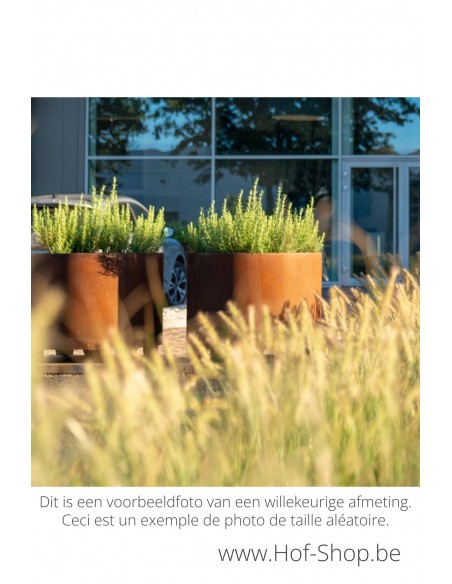 Circum met poten 120 x 80 cm - Adezz Plantenbak in cortenstaal