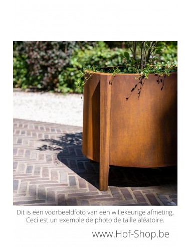Botan 60 x 100 cm - Adezz Plantenbak in cortenstaal