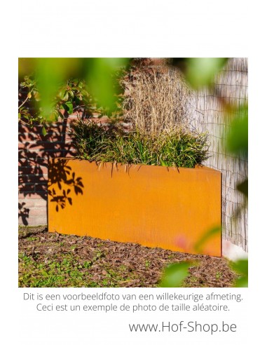 Triangle 100 x 100 x 60 cm - Adezz Plantenbak in cortenstaal