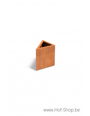 Triangle 60 x 60 x 60 cm - Adezz Plantenbak in cortenstaal