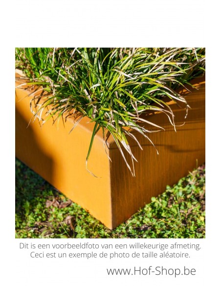 Triangle 60 x 60 x 40 cm - Adezz Plantenbak in cortenstaal