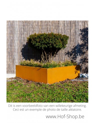 Triangle 60 x 60 x 40 cm - Adezz Plantenbak in cortenstaal