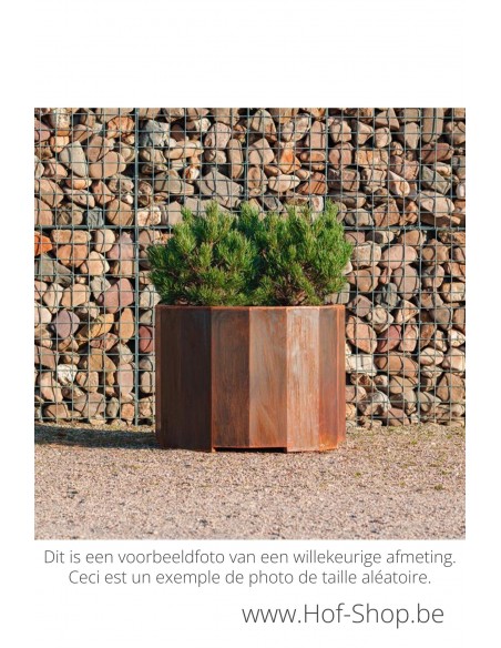 Boxer 100 x 80 cm - Adezz Plantenbak in cortenstaal