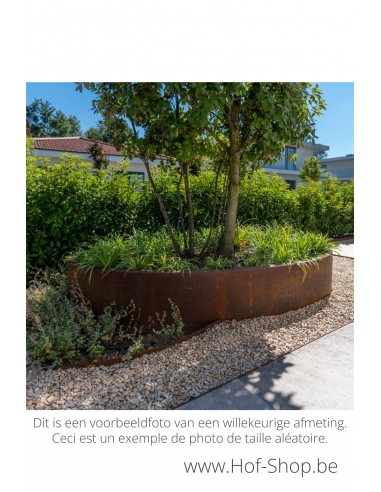 Ellipse zonder bodem 280 x 160 x 40 cm - Adezz Plantenbak in cortenstaal